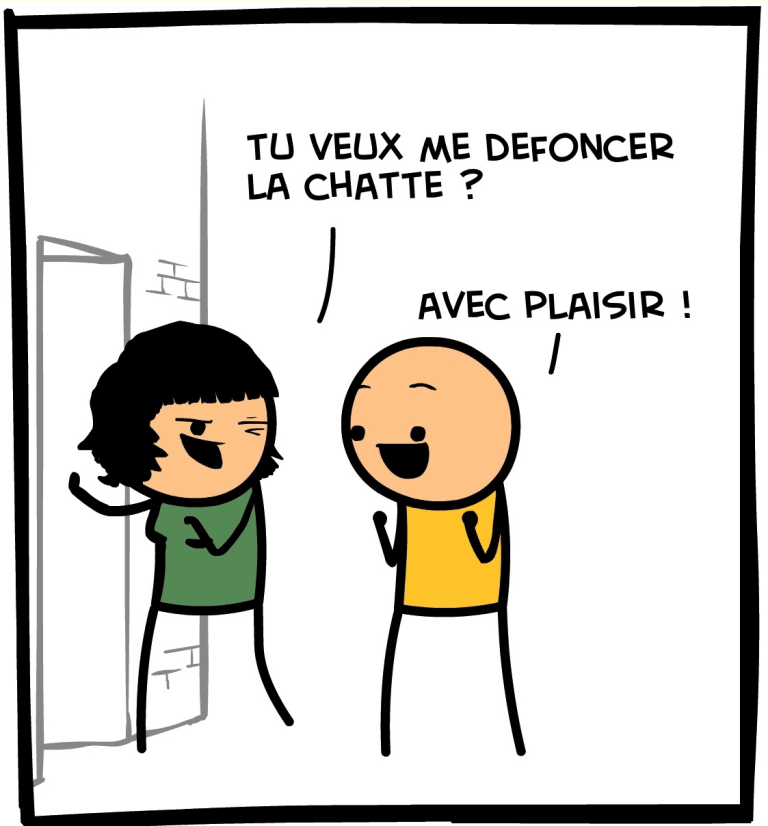 chat défoncer image