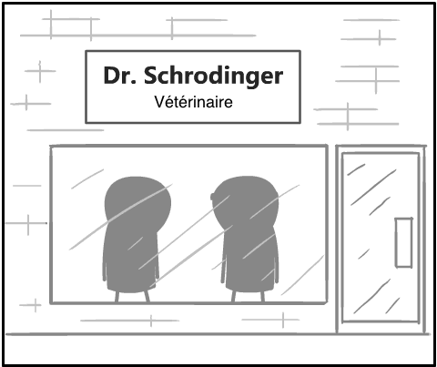 chat docteur image