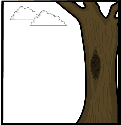 oiseau tromper image
