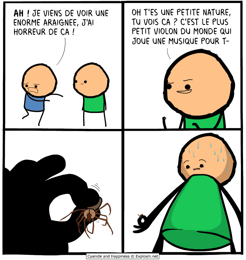 peur araignée cyanide