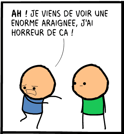peur araignée image