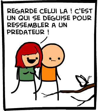 predateur papillon image