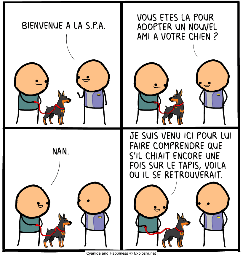 chien spa cyanide