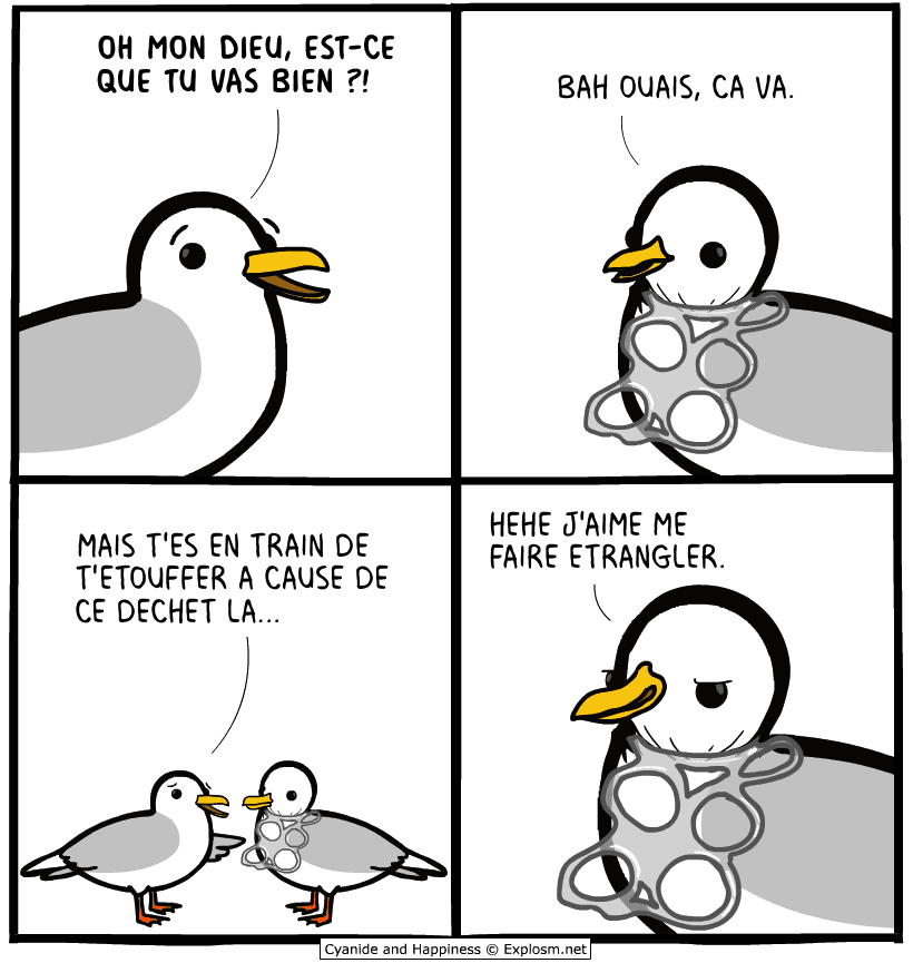 etouffer oiseau cyanide