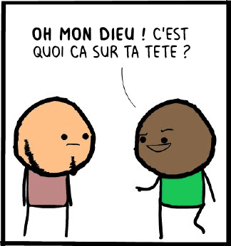 barbe année image