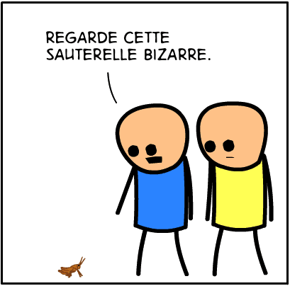 insulte image
