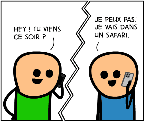 safari soirée image