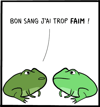 grenouille manger image