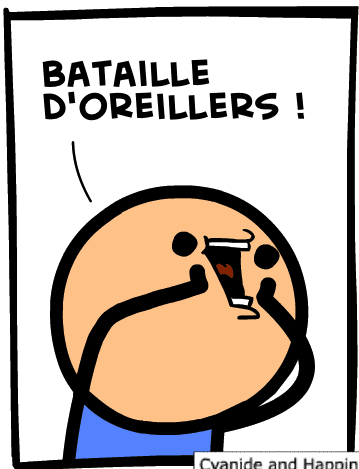 bataille oreiller image
