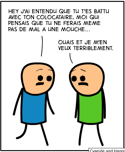 mouche coloc image