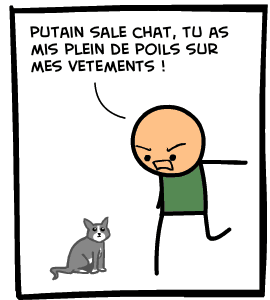 chat battre image