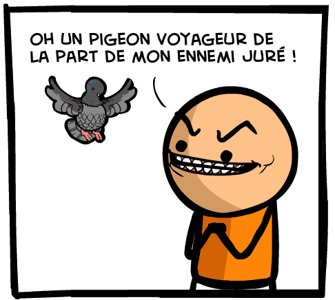message pigeon image