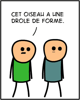 bras vol image