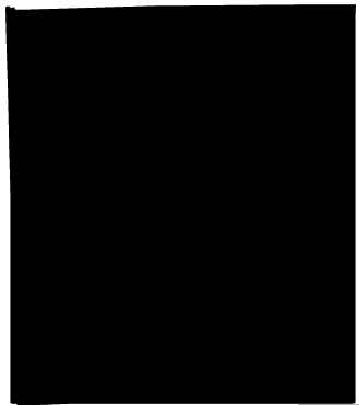 voleur abeille image