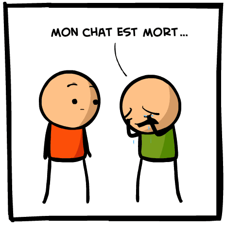 tortue mort image
