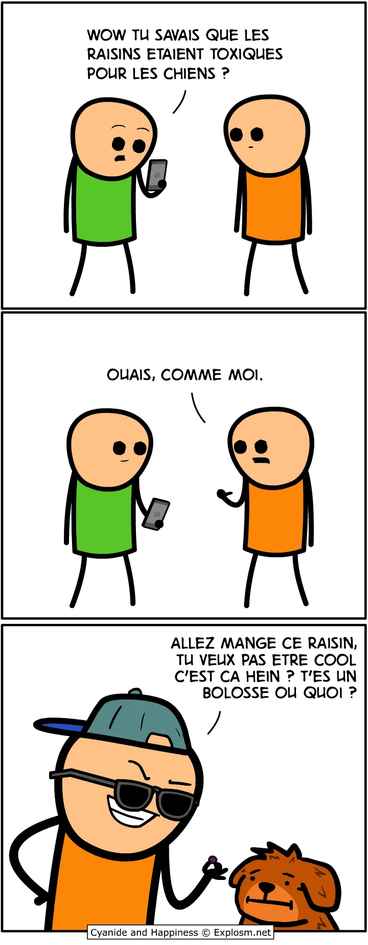 toxic chien cyanide