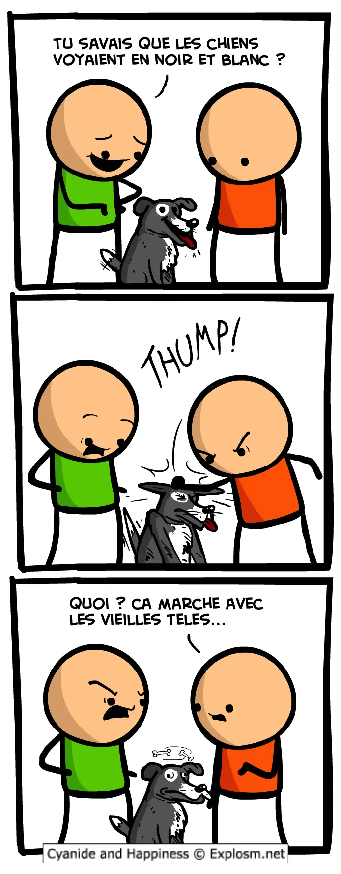 chien télé cyanide