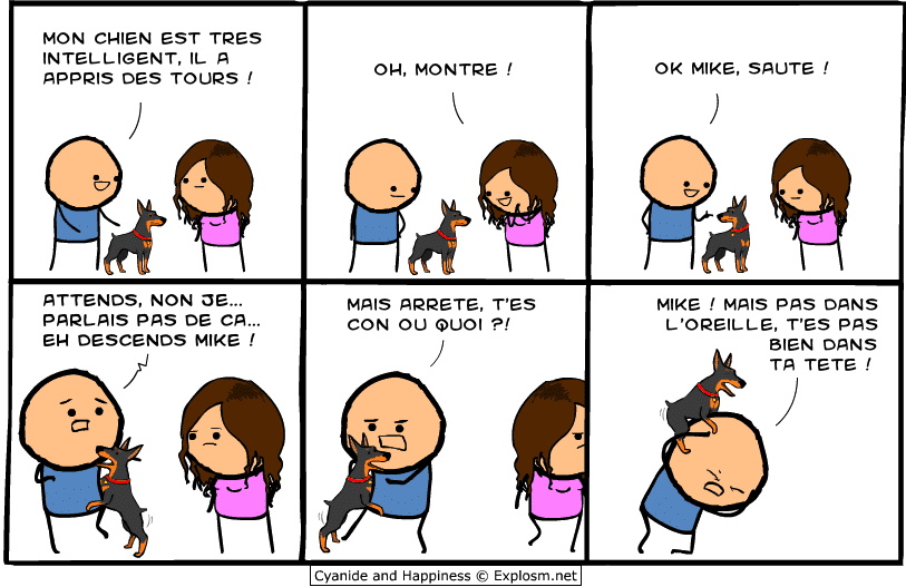 chien sauter cyanide