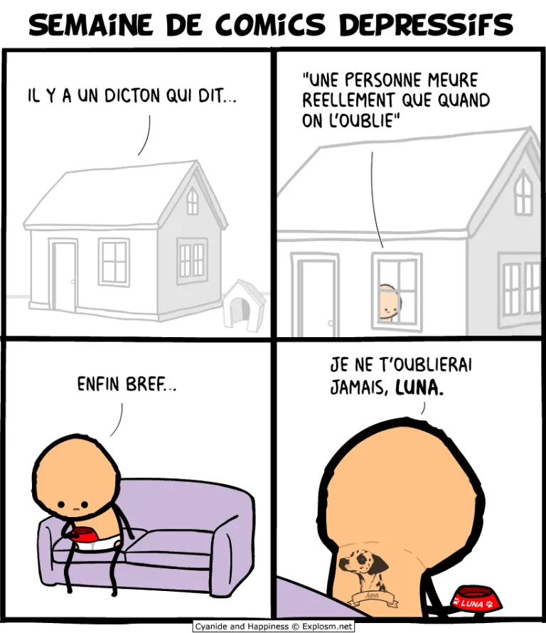 chien mort cyanide