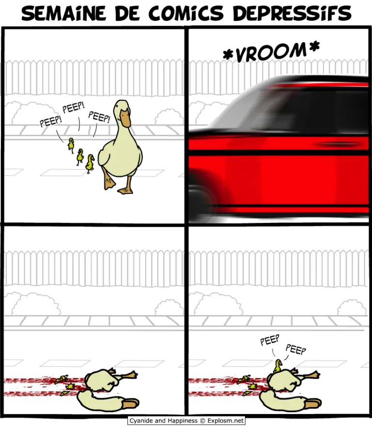 canards morts cyanide