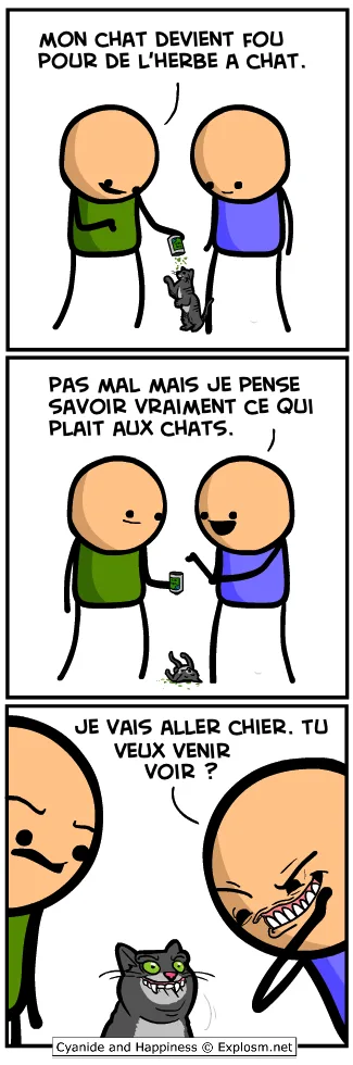 chat kiffe cyanide