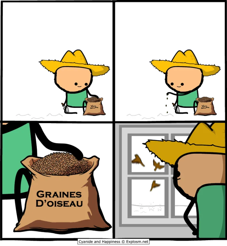 graines oiseau cyanide