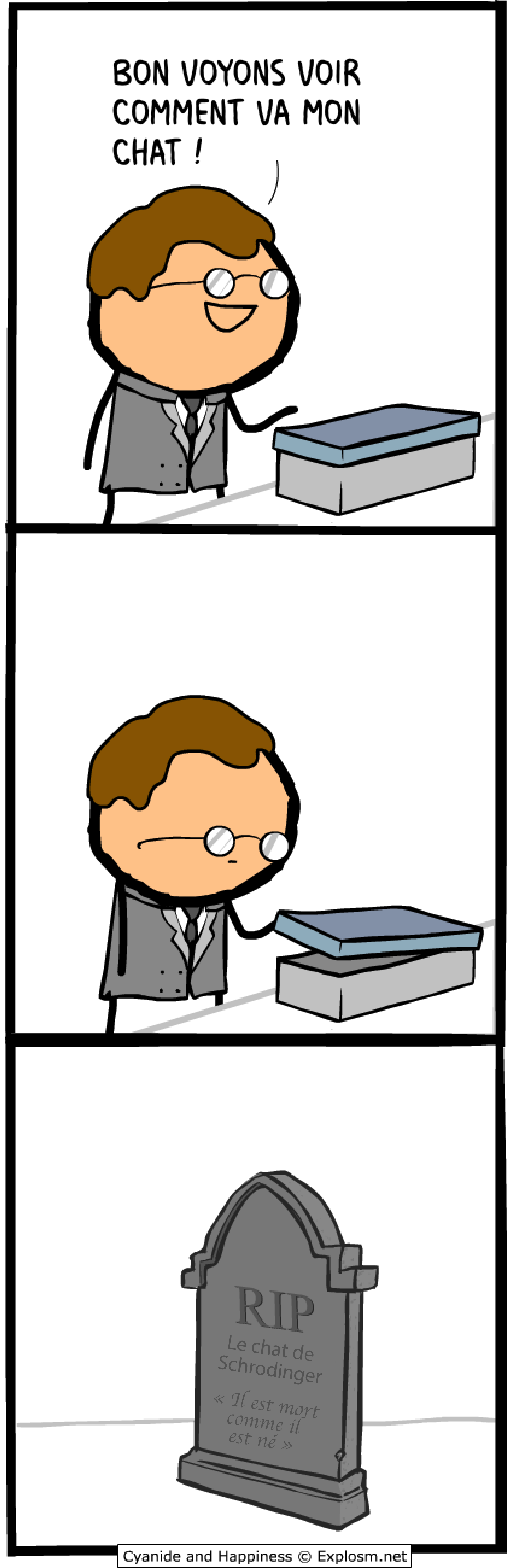 chat docteur cyanide