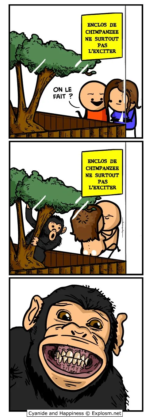 singe vitre cyanide
